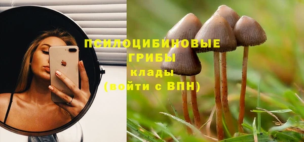 мяу мяу мука Вяземский