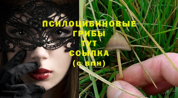 мяу мяу мука Вяземский